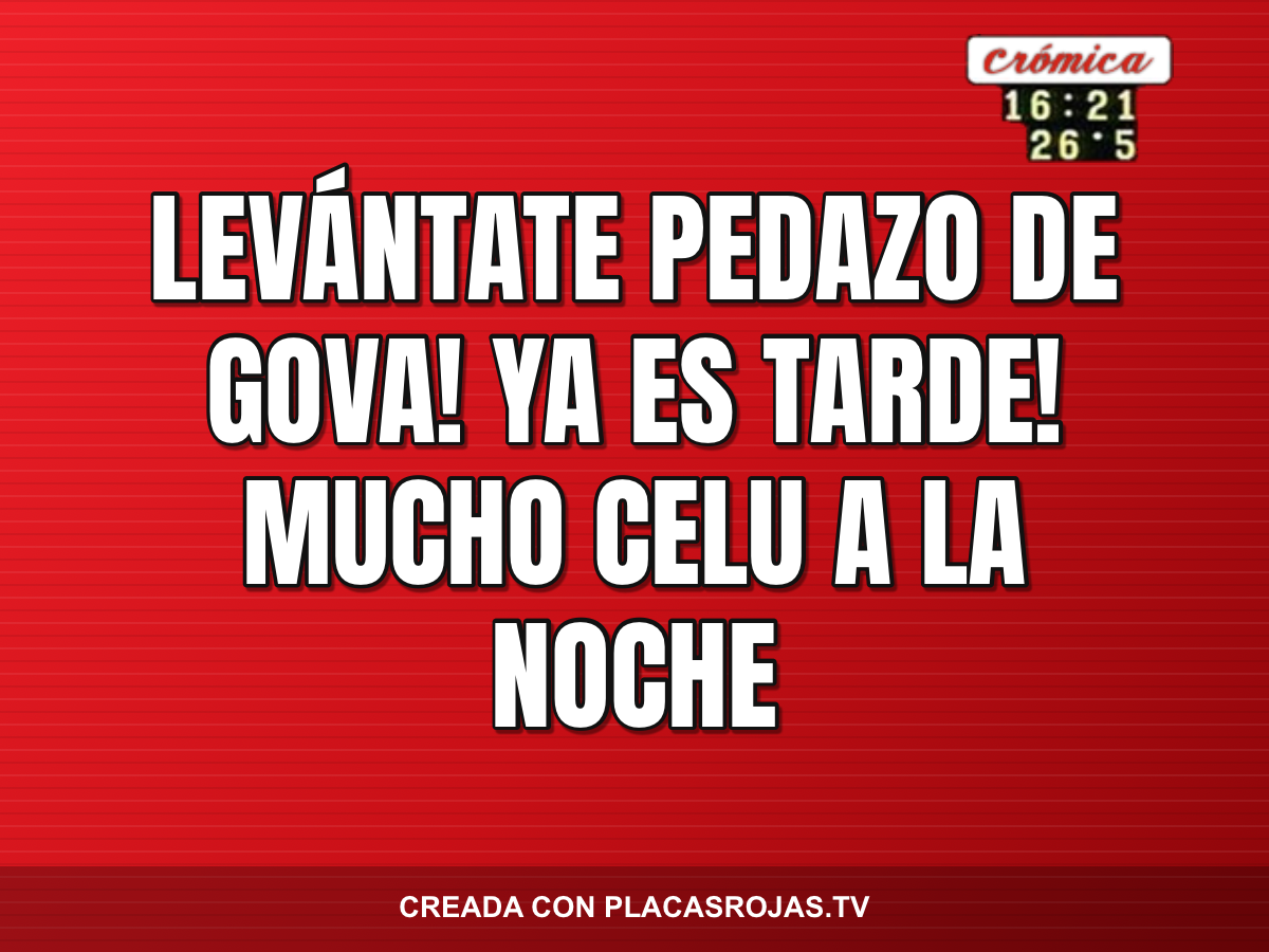 Levántate pedazo de gova! Ya es tarde! Mucho celu a la noche