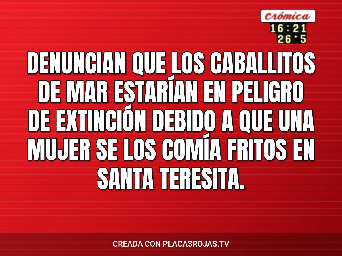 Denuncian que los caballitos de mar estarían en peligro de extinción debido a que una mujer se los comía fritos en Santa Teresita.